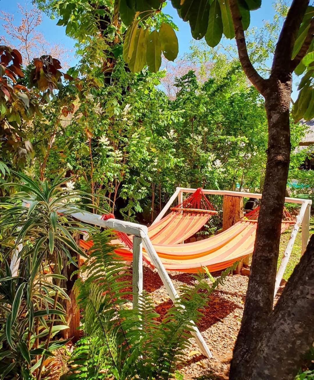 Victoria Falls Backpackers Lodge- Camp Sites Kültér fotó