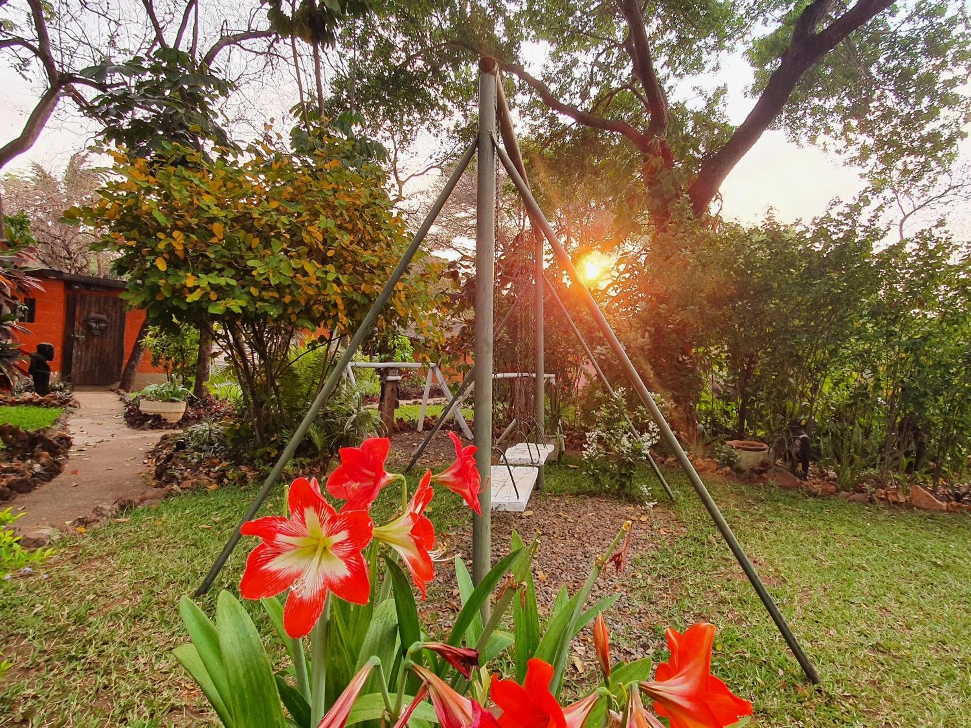 Victoria Falls Backpackers Lodge- Camp Sites Kültér fotó